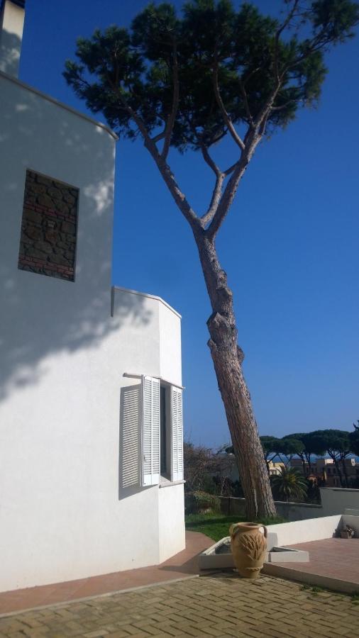 Buba Bnb Superior Bed & Breakfast Anzio Exterior photo