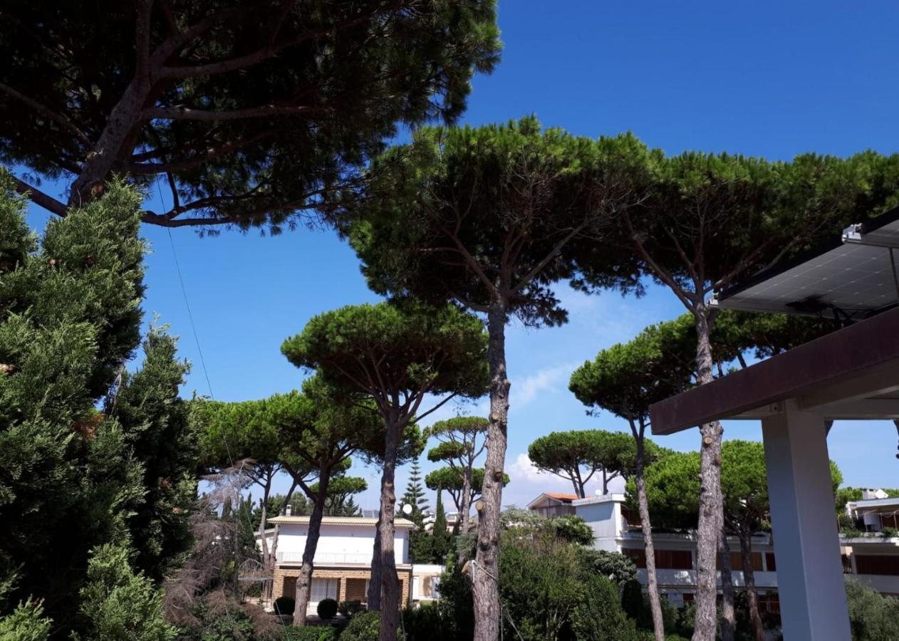 Buba Bnb Superior Anzio Exterior photo